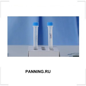 PANNING.RU